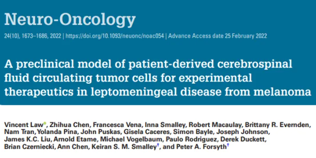 Identifying Potential Therapeutic Targets in Leptomeningeal Disease Through CSF Circulating Tumor Cell (CSF-CTC) Analysis