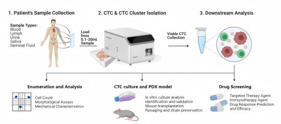 关于药敏的那些事儿