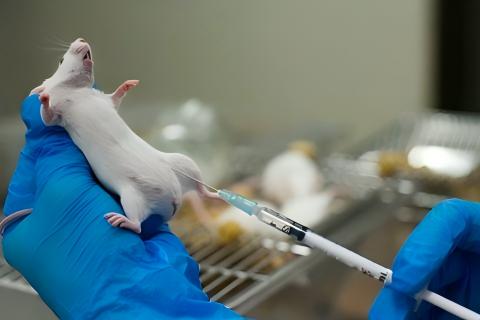 CTC Cell Line & PDX Model Development Services