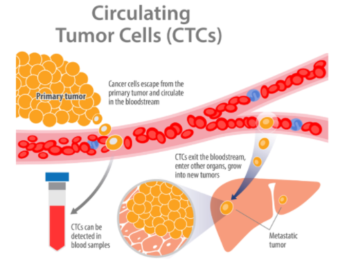 CTC Technology: An Internationally Recognized Guideline-Recommended Approach