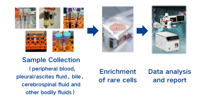 Service Workflow.png