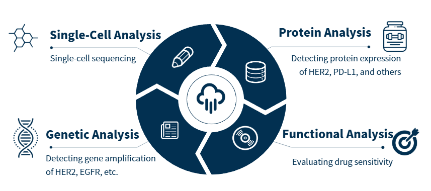 Target analysis-2.png