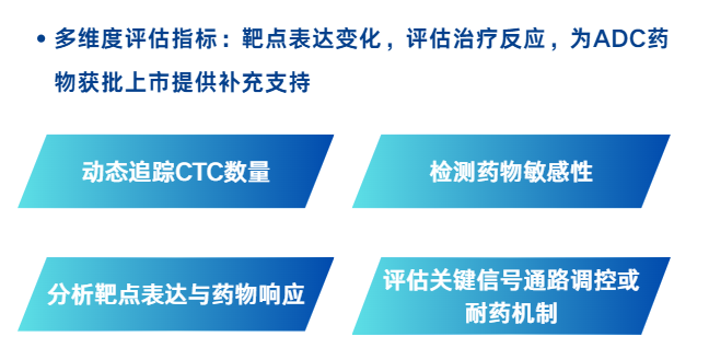 CTC药物评估-2.png